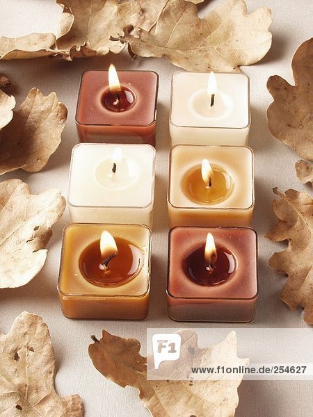 High angle view of lit candles and autumn leaves