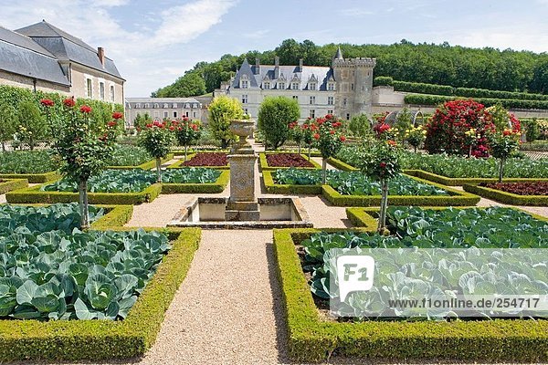 Formaler Garten vor der Burg  Chateau De Villandry  Indre-Et-Loire  Frankreich