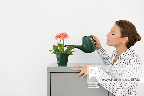 Geschäftsfrau wässert eine Pflanze
