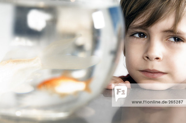 Kleiner Junge und Aquarium