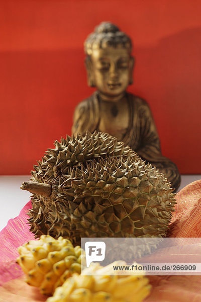 Stilleben mit Durian und Pitahayas