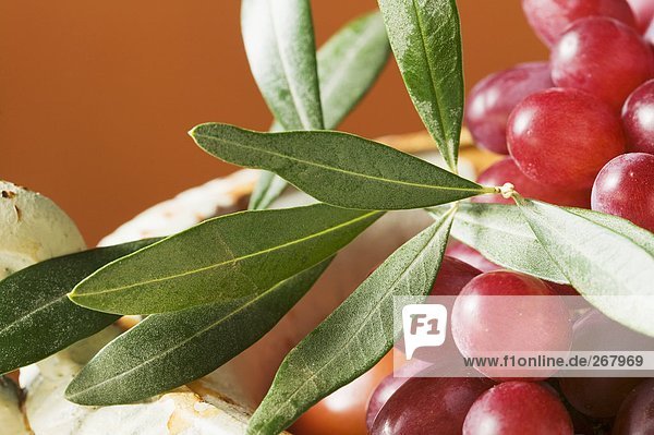 Rote Trauben mit Olivenzweig in Schale