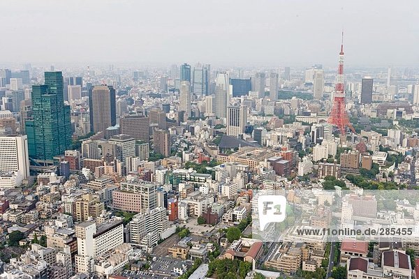Luftbild von City  Präfektur Tokio  Japan