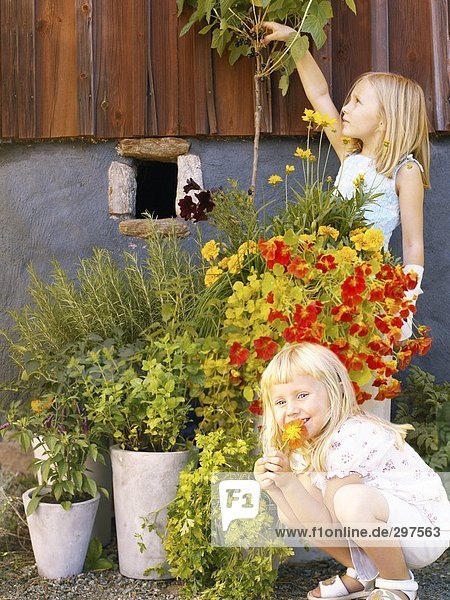 Two girls by potted plants.