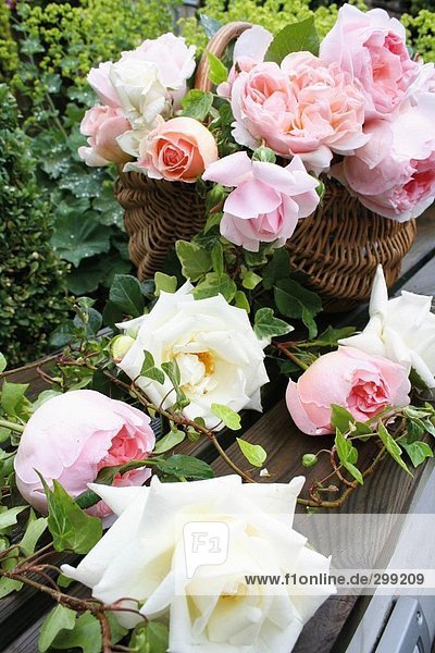 Close-up of roses in basket