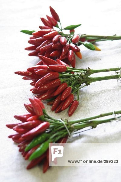 Nahaufnahme der Trauben aus Chilli peppers