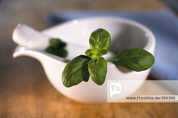 Nahaufnahme of Basil in Mörtel mit Stößel