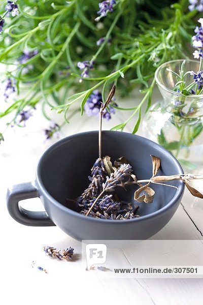 Lavendel Blumen in einer Tasse