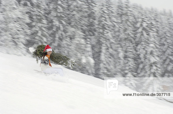 Woman riding on sledge,  carrying Christmas tree