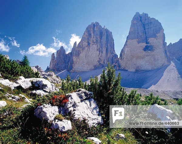 Felsformationen auf Landschaft  Tre Cime di Lavaredo  Dolomiten  Italien
