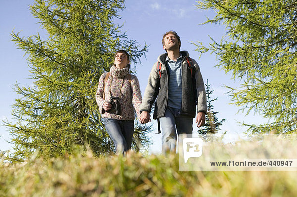 Young couple walking in meadow holding hands