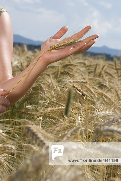 Junge Frau im Maisfeld  hält Maisstengel  Nahaufnahme