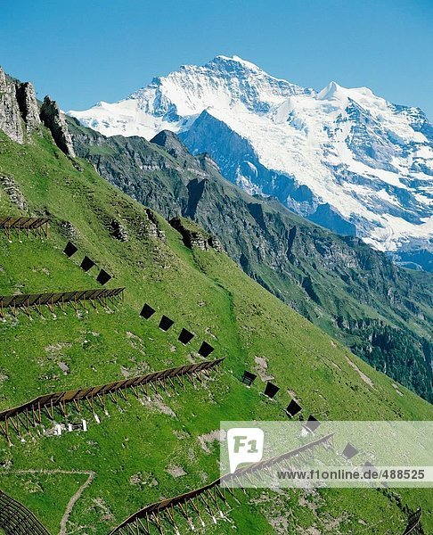 10120296  Jungfrau  Lawinen  Lawinen-Schutz  Schutz  Verbauung  Berge  Alpen  Alpen  Mountains  Schweiz  E