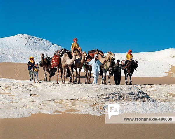 10437901  Egypt  North Africa  hill  camel trekking  camel  caravan  tourist  trekking  white  whiteness  desert