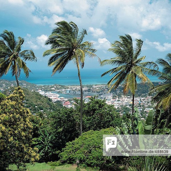 10606940  Castries  Küste  Meer  Palmen  Saint Lucia  Karibik  Stadt  Stadt  Überblick