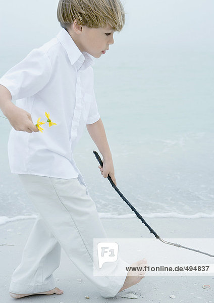 Little boy walking alongside surf on beach  holding flowers in one hand and stick in the other