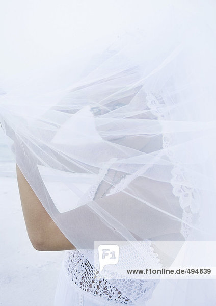 Bride seen through veil  waist up