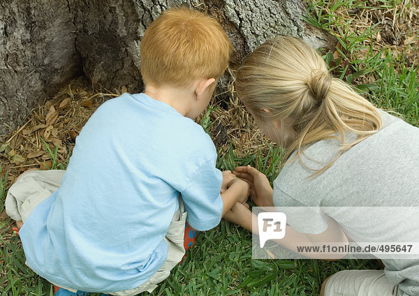 Zwei Kinder fangen ein kleines Tier am Fuße des Baumes.