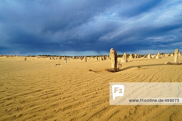 Australia  Pinnacles Desert