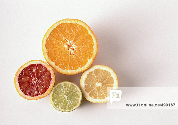Querschnitte von Orange,  Blutorange,  Zitrone,  Limette,  Nahaufnahme,  Hochwinkelansicht,  weißer Hintergrund