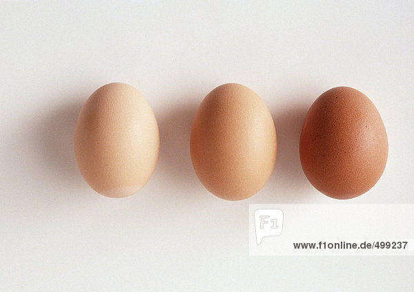 Drei Eier vor weißem Hintergrund  Nahaufnahme