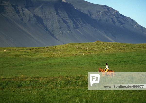 Island  Reiter auf grasbewachsenem Plateau  Berge im Hintergrund