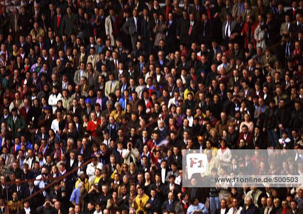 Crowd of spectators  front view  blurred  full frame