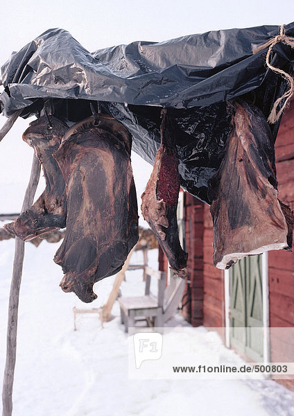 Schweden,  Fleisch hängend zum Trocknen außerhalb des Hauses