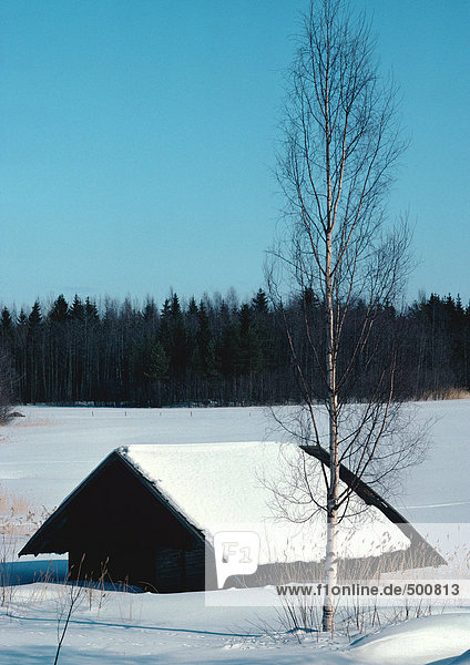 Finland  cabin half buried in snow