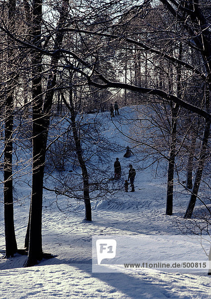 Schweden,  Menschen,  die in verschneiten Wäldern wandern