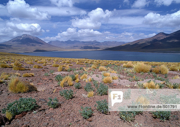 Chile  El Norte Grande  trockene Landschaft mit Bergen und kleinem See