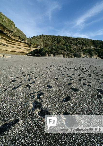 New Zealand  footprints on beach