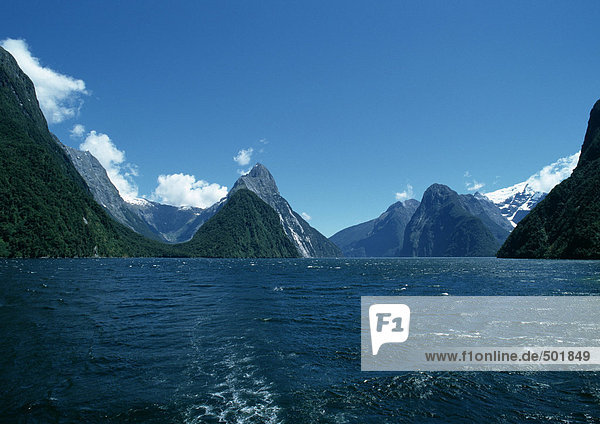 New Zealand  fjords