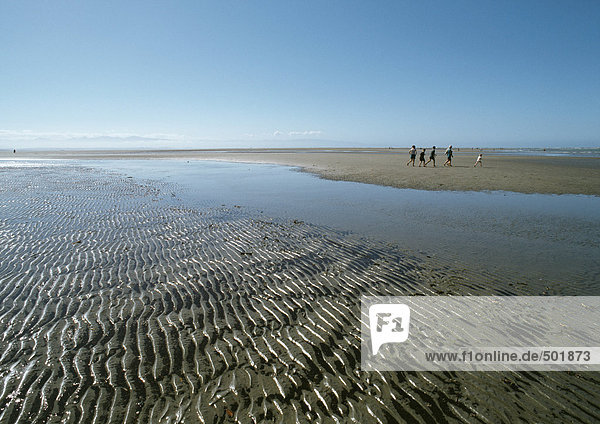 New Zealand  shore with rippled sand and pool of water