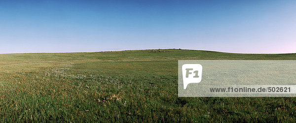 Mongolei  Ebene  Panoramablick
