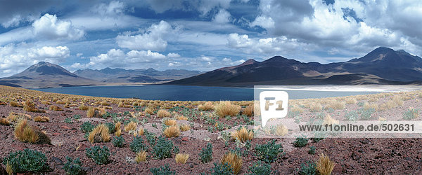 Chile  Landschaft mit See und Bergen  Panoramablick