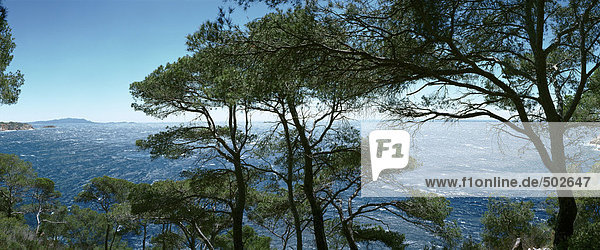 Frankreich  Bäume mit Blick auf die Landschaft  Panoramablick