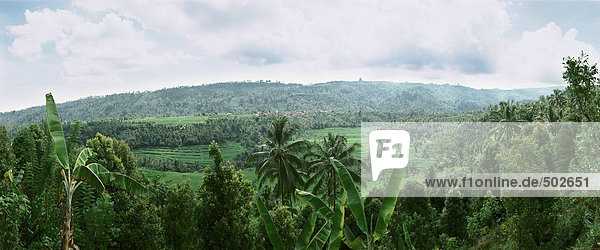 Indonesien  Tropenwald  Hochblick  Panoramablick