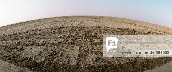Tunesien,  Reifenspuren in der Wüste,  Panoramablick
