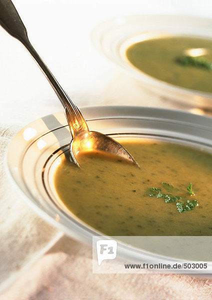 Schalen mit grüner Suppe mit Kräutergarnitur  Nahaufnahme