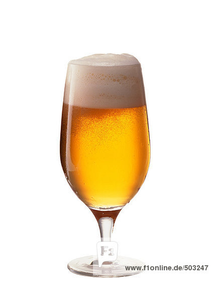 Bier in Stielglas  volle Länge  weißer Hintergrund