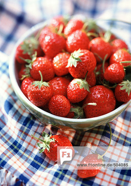 Schale mit Erdbeeren  Nahaufnahme