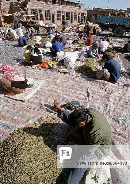 China  Provinz Xinjiang  Turpan  Arbeiter beim Sortieren von Produkten