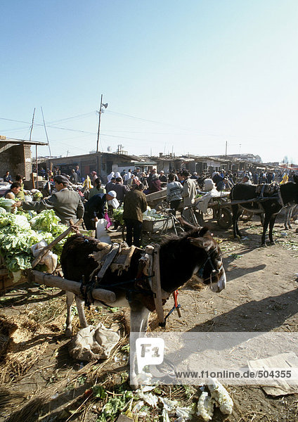 China  Xinjiang  Turpan  Open-Air-Basar  Esel mit Karre