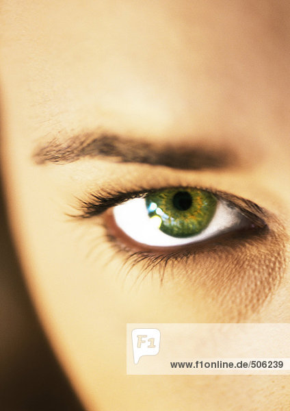 Grünes Auge und Augenbraue der Frau  extreme Nahaufnahme.