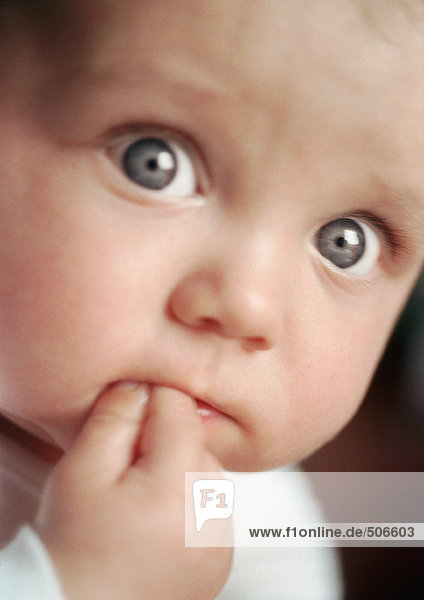 Baby schaut in die Kamera  Finger im Mund  Nahaufnahme.
