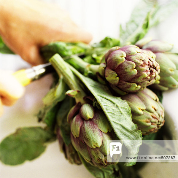 Close-up of bunch of artichokes being held in hand