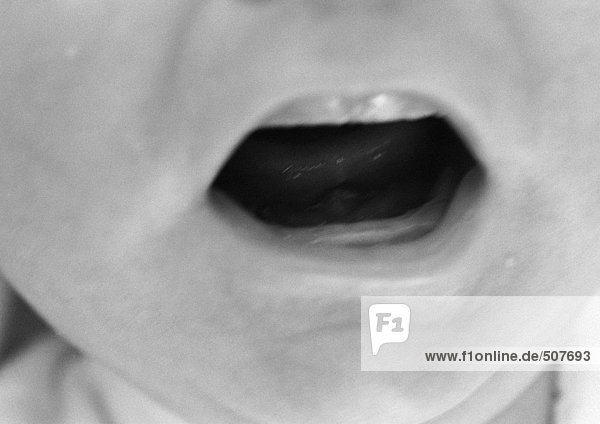 Baby's open mouth  close-up  b&w