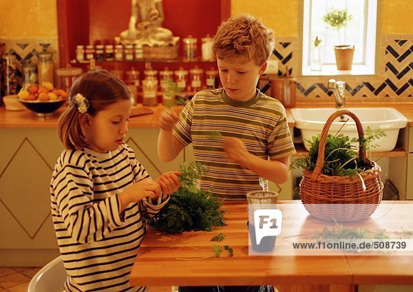 Children in kitchen handling herbs