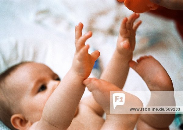 Baby auf dem Rücken liegend  mit Händen und Füßen hochreichend  Nahaufnahme